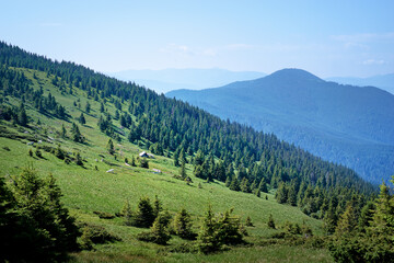 Fototapeta na wymiar Beautiful summer landscape of green meadow in mountains.