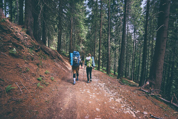Fototapeta premium Rear view of two young people walking down the trail path on forest. Young couple hiking with backpacks.