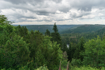 view at Black Forest landscape with view at wild lake und a partly cloudy sky, Germany
