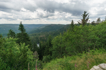 view at Black Forest landscape with view at wild lake und a partly cloudy sky, Germany