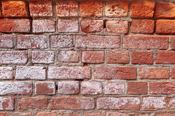 Ancient brick masonry made of red clay bricks with white salt protruding. Background