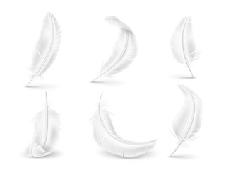 Realistic white feathers. Soft and fluffy birds and angel wings elements. Natural pillow filler. Differently curved plumage. Avian fuzz. Goose or swan quills. Vector feathering set
