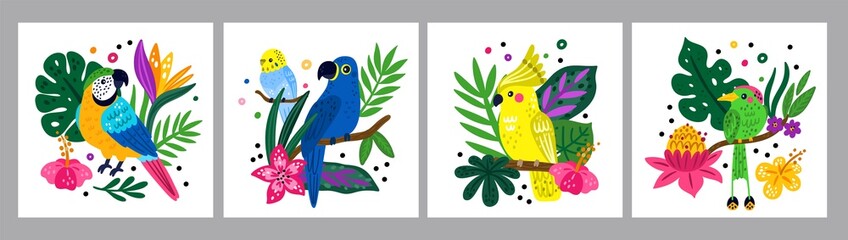 Tropical birds posters. Funny rainforest creatures. Bright parrots and jungle plants compositions. Exotic animals. Parakeet or macaw on palm branches. Vector summer Hawaiian cards set © VectorBum