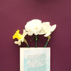 A book with spring flowers on purple background 