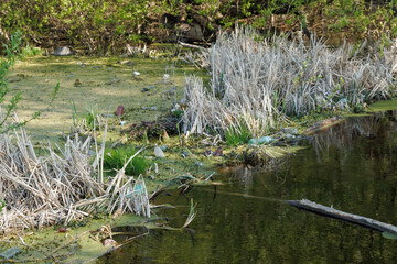 Contaminated water and a pile of smelly and toxic residues. Ecological disaster - the river carries plastic garbage. Plastic waste in the water. The river is very polluted by various toxic debris.