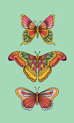Beautiful cute vector illustration of butterfly in pastel colors.