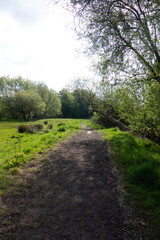 Fototapeta na wymiar Beautiful English Green Countryside Meadow with Pathway