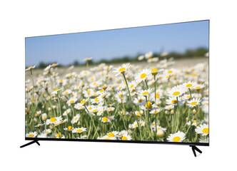 Modern wide screen TV monitor showing beautiful chamomile flowers in field isolated on white