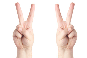 Left and right male hand with two fingers up isolated on white background. Brutal man's index and middle finger showing victory gesture. Finger gestures.