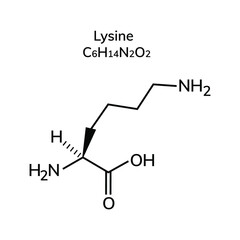 Essential amino acid lysine on a white background
