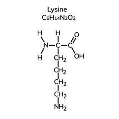 essential amino acid lysine on a white background
