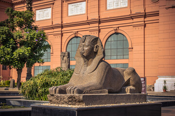 Cairo, Egypt -  November 13, 2021: Sphynx statue at the Cairo Museum in Cairo, Egypt