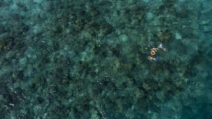 Aerial top view of a male surfer swimming in a tranquil water