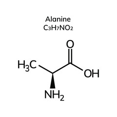 Non-essential amino acid alanine on a white background
