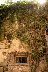 Ancient stone building exterior with window and creeping plant on medieval European building