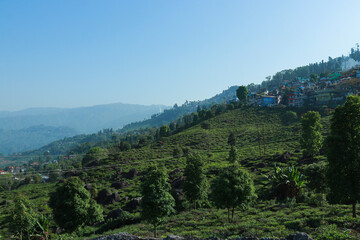 Fototapeta na wymiar countryside landscape of Kurseong in darjeeling