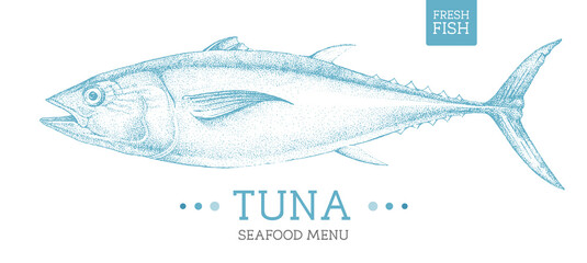Realistic tuna fish vector illustration. Seafood menu design