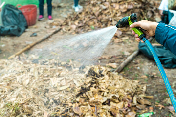 Closeup of a person watering dried leaves for faster composting in Thailand