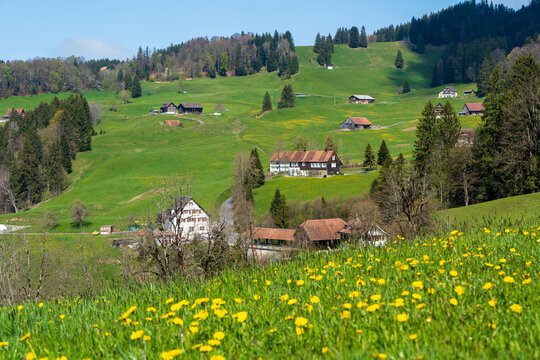 In der Schweiz Berner Oberland