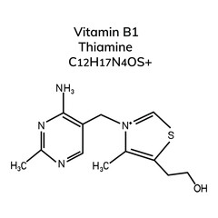 Fototapeta premium Structural formula of vitamin B1 on a white background 