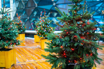 Closeup of the decorative Christmas trees covered in shiny lights