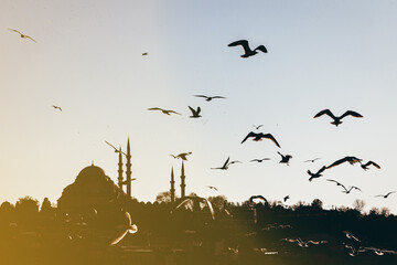 Istanbul silhouette and seagulls at sunset, Suleymaniye mosque, Turkey.