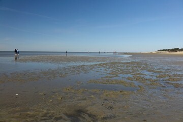 Wet sandy North Sea beach at low tide, sunny spring day (horizontal), Sahlenburg, Lower Saxony,...