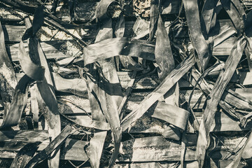 Abstract real photo beauty blur background. Bunch heap pile long narrow leave nature dry material rubbish stack. Copy space. Maze life confusion concept. Dark light tone Black Pale Matte Vintage