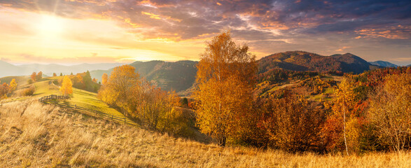 Ukraine. Warm autumn in a village. Picturesque beech, birch and pine forests and Hutsul houses against the backdrop of the Synevyr Pass ridge are very beautiful with bright colors after a fine day. - obrazy, fototapety, plakaty