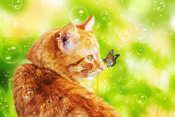 Beautiful ginger cat and a butterfly on a natural background.