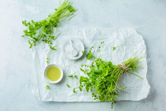 Winter purslane, Indian lettuce, healthy green vegetables for raw salads and cooking with olive oil and salt