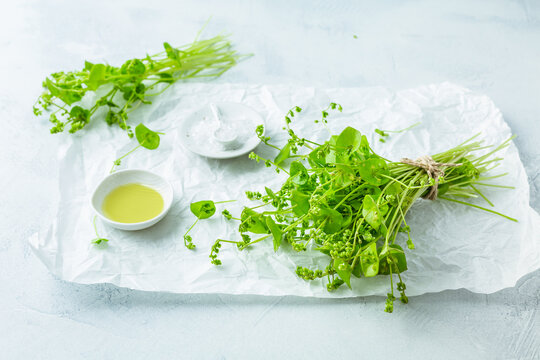 Winter purslane, Indian lettuce, healthy green vegetables for raw salads and cooking with olive oil and salt