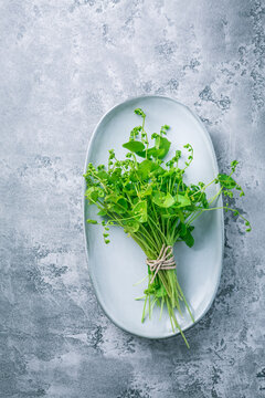 Winter purslane, Indian lettuce, healthy green vegetables for raw salads and cooking