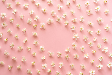 Seamless pattern from flowers isolated on pink background. Flat lay, top view. The concept of spring, Mother's Day, March 8.
