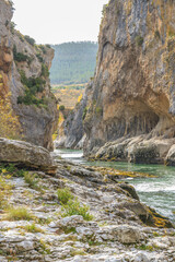 Vertical shot of a river flowing in a rural area surrounded by rocky cliffs