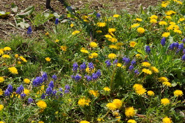 Spring is my favorite season