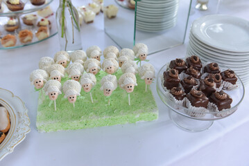 Closeup of a banquet table of beautifully decorated and sheep-shap canapes ready for an event