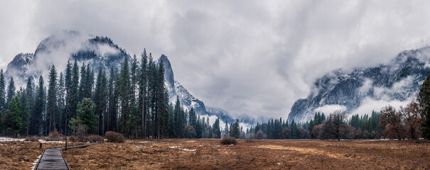Landscape of evergreen trees of Yosemite National Park on a foggy gloomy day, California, US