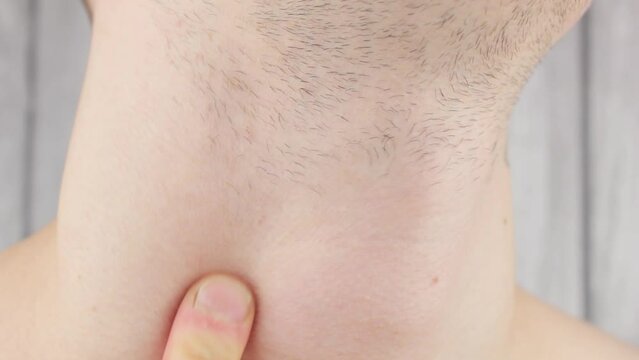 Adam's apple male close-up. The throat is the neck of a male bone.