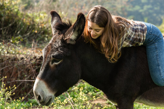 A happy young woman riding a donkey in the meadow