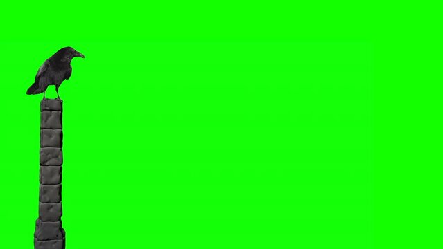 Raven on block pillar green screen
