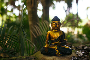 meditating buddha statue jungle background jungle background
