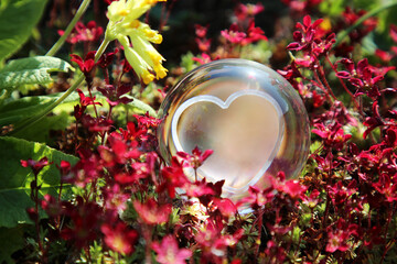 Glaskugel mit Herz in roten Blumen