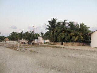 Maldives. Fishing village. White sand. Palms.