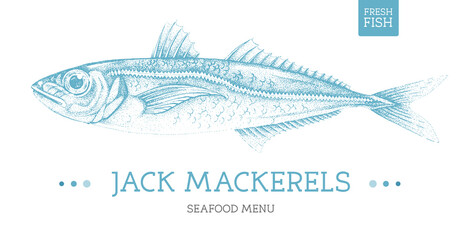 Realistic jack mackerels fish vector illustration. Seafood menu design