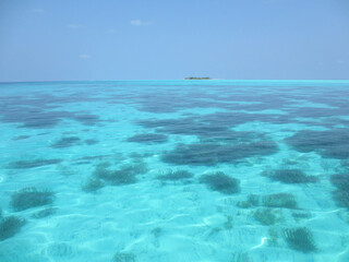 The background is blue. Maldives. Indian Ocean. Clear clean water. The blue tone changes to turquoise.