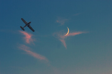 Plane in the sky