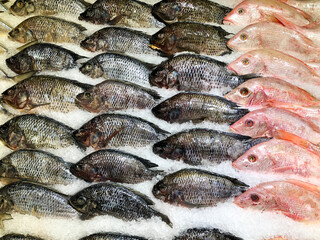 Raw fish in ice in the supermarket