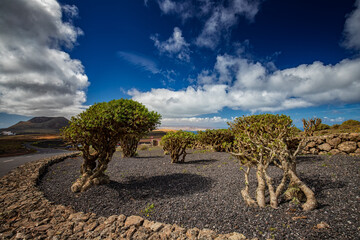 Fototapeta Niezwykła przyroda i krajobrazy na Lanzarote obraz