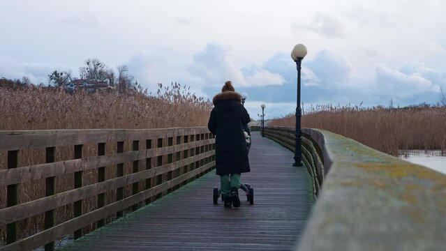 Faceless woman in puffer coat going with pram on wooden bridge across lake. Back view. Girl walking with baby in stroller through pond surrounded by tall dry grass in winter. Mother care, motherhood